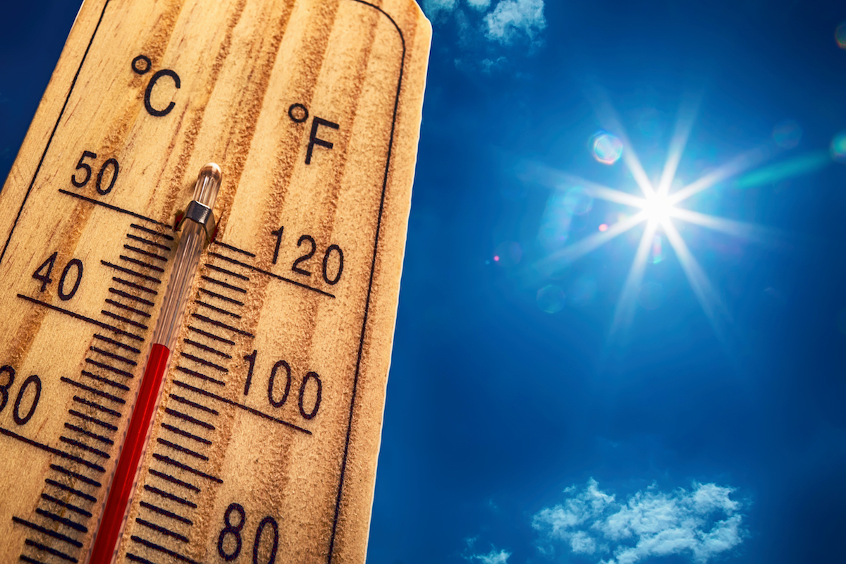 Tout pour vous rafraîchir pendant la Canicule !