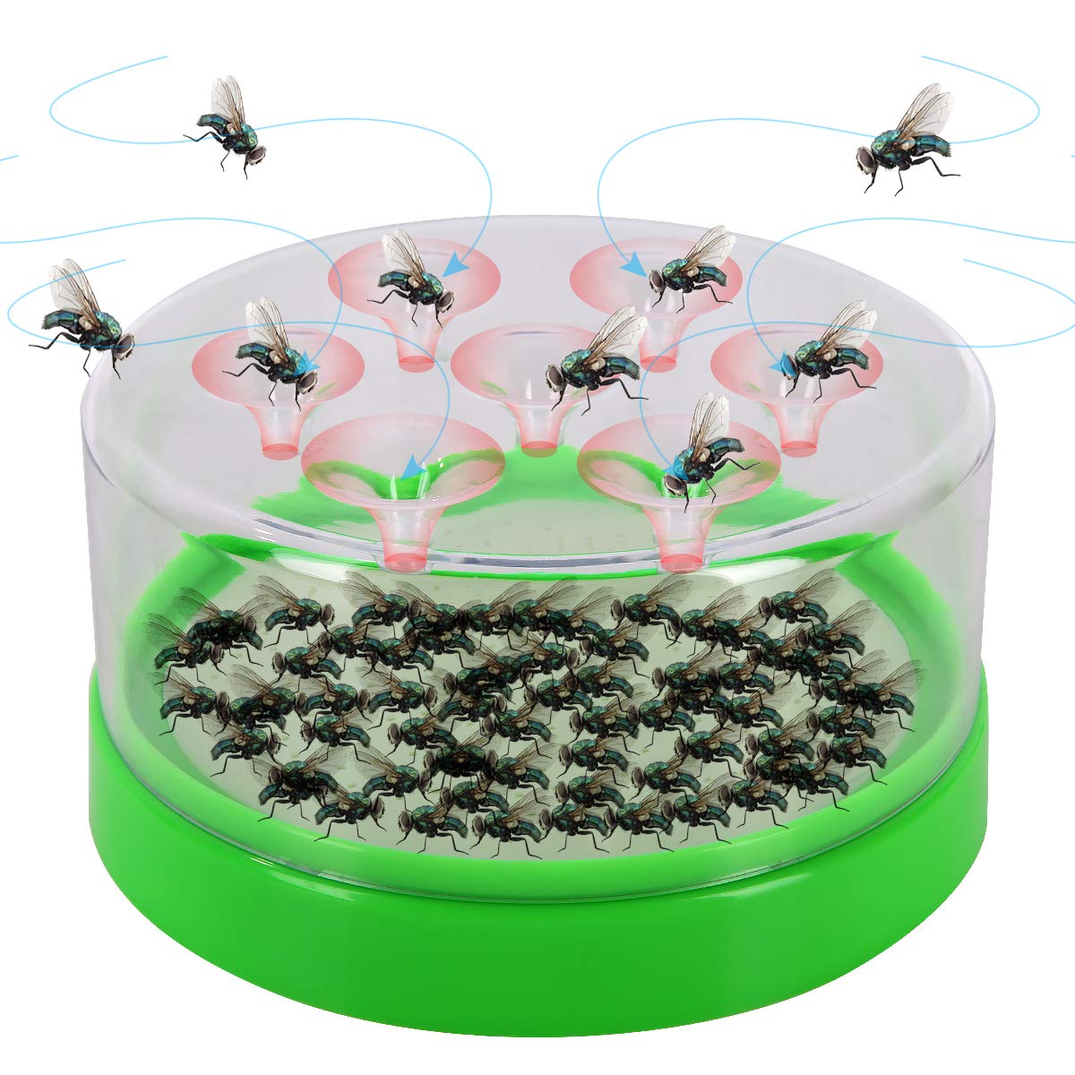 Comment attraper une mouche en plastique