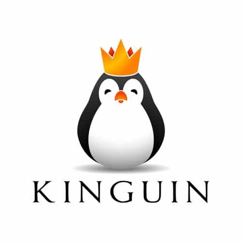 Le point sur les offres #CYBERMONDAY ! 37 logo kinguin