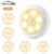 6PCS Famirosa LED Night Light