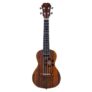 Populele S1 Smart Ukulele for Beginner Adults – BURLYWOOD