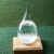 Creative Storm Glass Water Drop Weather Forecast Bottle – TRANSPARENT SMALL