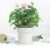 Xiaomi Youpin Flower Pot Monitor – WHITE