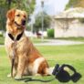 Gocomma Pet Pulling Rope Retractable Leash 5m – BLACK