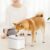 Creative Simple Pet Water Dispenser from Xiaomi Youpin – MILK WHITE