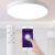 Utorch Smart Voice Control LED Ceiling Light – WHITE 30CM / REMOTE CONTROL