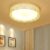 220V 45CM 36W Three-color Light Warm Acrylic Round Ceiling Lamp – Milk White Flower sea