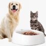 Multifunctional Lightweight Waterproof Intelligent Weighing Pet Bowl – White