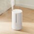 Brosse Nettoyante Visage