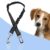 Ceinture de sécurité pour chien