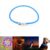 Collier Chien LED