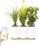 Lilo Connect, le potager d’intérieur connecté de Prêt à Pousser – Cultivez toute l’année simplement – Inclus Basilic, Menthe et Ciboulette