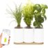 Philips Hue Kit de démarrage 2 Ampoules LED connectées White & Color Ambiance E27 + Pont de connexion