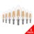 Lot de 8 Ampoules LED 4W E14 C35 Orinsong