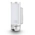 Dyson Ball Stubborn Aspirateur Traineau sans Sac