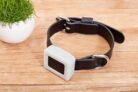 GPS Collier pour chien Weenect Pets