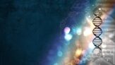 Tout savoir de notre corps, ADN, virus, bactéries avec ces formations vidéos !