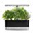 AeroGrow, 200694-BLK AeroGarden Harvest Slim-Black, Noir