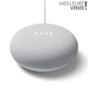 Assistant vocal Google Nest Mini Galet