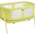 Piscine Grand pour Chien
