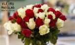 Les fleurs de Nicolas
