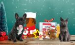 Coffret cadeau de Noël pour chiens et chats avec la Woufbox et la Miaoubox