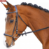 CHEMISE DE CONCOURS HARRY’S HORSE
