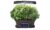 Potager d’intérieur Aerogarden