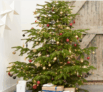 15€ offerts pour l’achat d’un sapin chez Castorama