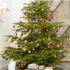 Jusqu’à -20% de réduction sur toute la décoration de noël chez Castorama