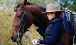 Initiation à cheval d’1h pour 1 personne