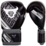 Ringhorns Nitro Gants de Boxe Muay Thai, Kick Boxing