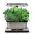 Miracle-Gro AeroGarden Harvest Elite avec kit de capsules de graines d’herbes gourmets, Acier Inoxydable