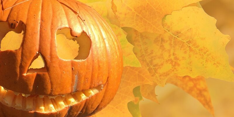 Découvrez les origines et les bons plans Halloween !