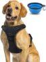 Harnais Chien + Bol pour Chien