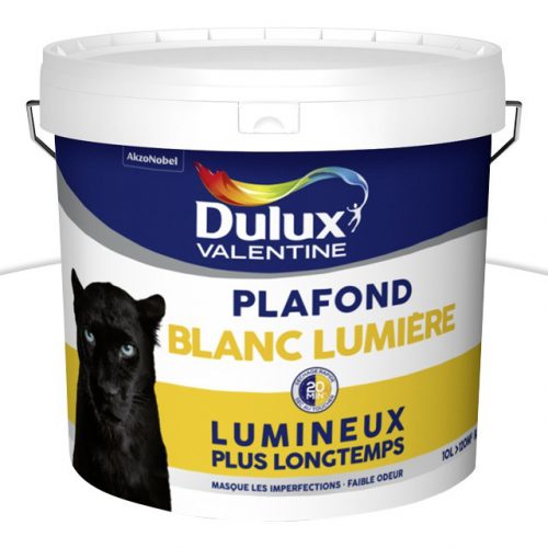 Peinture Dulux Valentine Plafonds Blanc Mat 10l Les Bons Plans