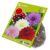 Mélange décoratif de dahlia