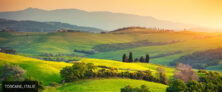 TENUTA DI CAPEZZANA TOSCANE , ITALIE
