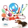 10 Pièces de Jouets pour Chiots