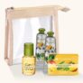 Kit Energisant Mangue Coriande et sa Trousse