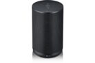 Enceinte intelligente LG THINQ WK7 NOIR avec Assistant Google intégré
