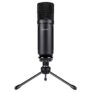 Microphone PC USB BC Master