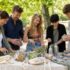 Potager en carré : plan simple pour débuter sans stress