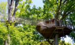 Pays de la Loire : 1 à 3 nuits en cabane au Domaine Des Vaulx pour 2 personnes