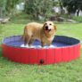 Piscine Grand pour Chien