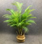 Plantes tropicales artificielles