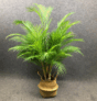 Plantes tropicales artificielles