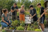 Potager en carré : plan simple pour débuter sans stress