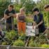 Organiser un week-end nature à petit budget