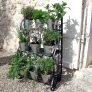 Présentoir en métal pour plantes et fleurs Plant Theatre
